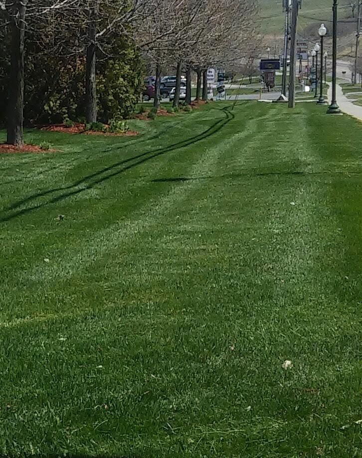 Bio Green of Upstate NY 3