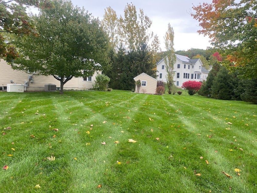 Weed and Insect Control