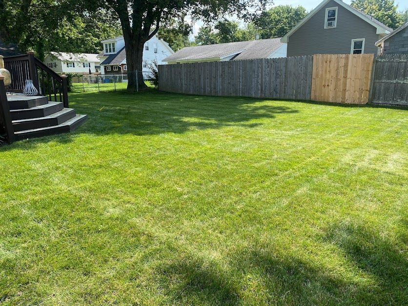 Non-Toxic Pest Control Services