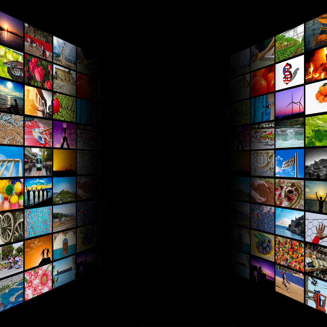 A wall of pictures with a butterfly on one of them