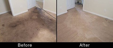 Residential Carpet Cleaning — Before and After Carpet Cleaning in Hattiesburg, MS
