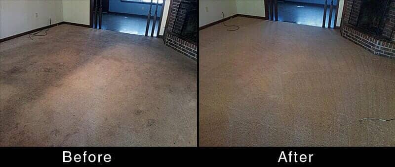 Carpet Animal Odor Removal — Before and After Office Carpet in Hattiesburg, MS
