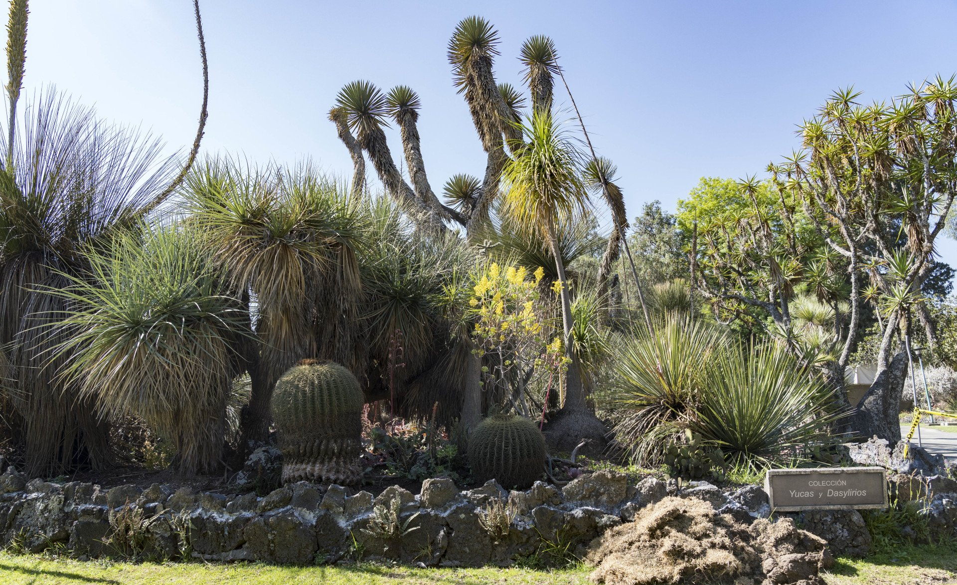 Jardin botanique de l’Université du Mexique