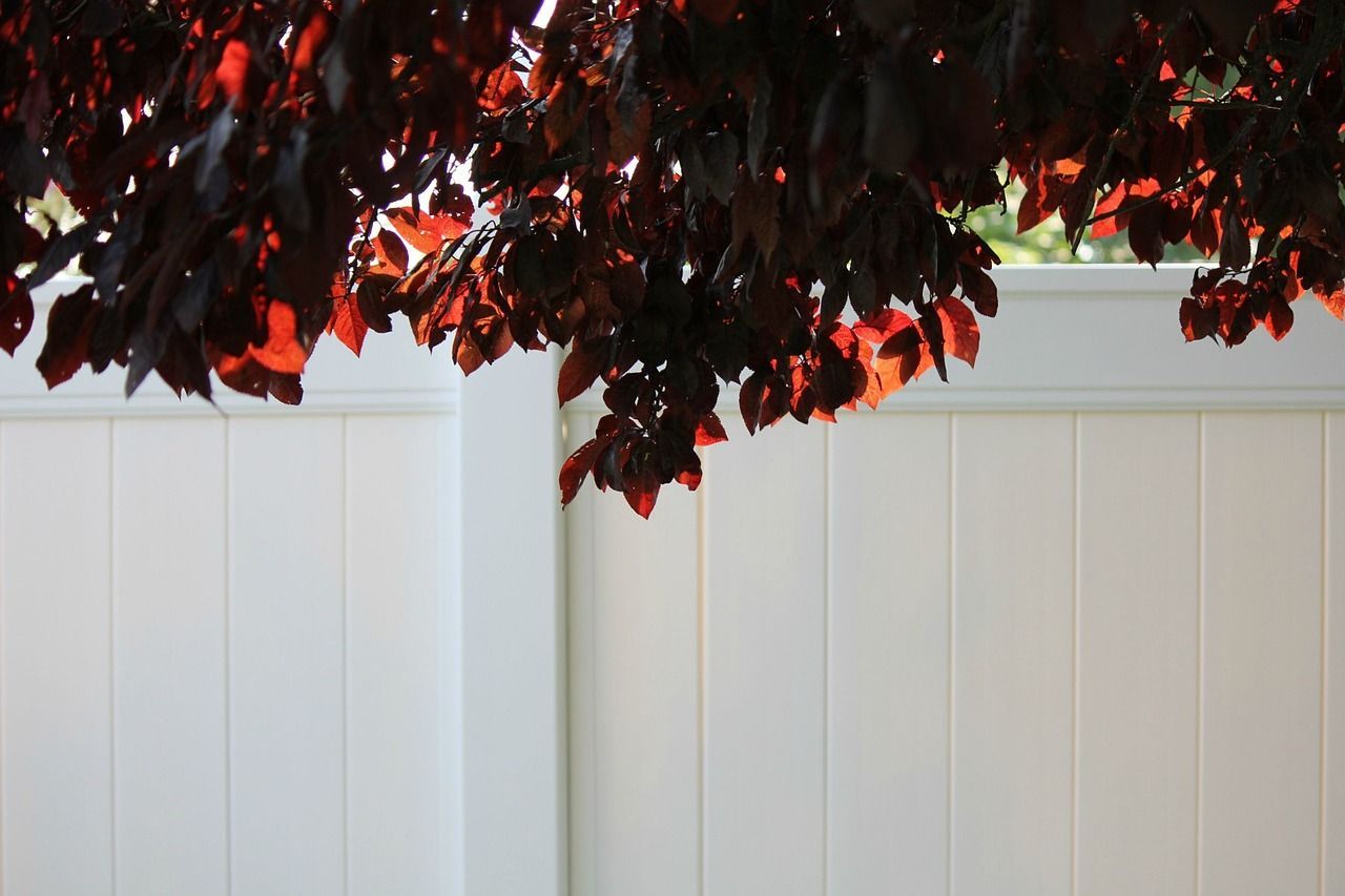 white vinyl fence installed by Longview Fence