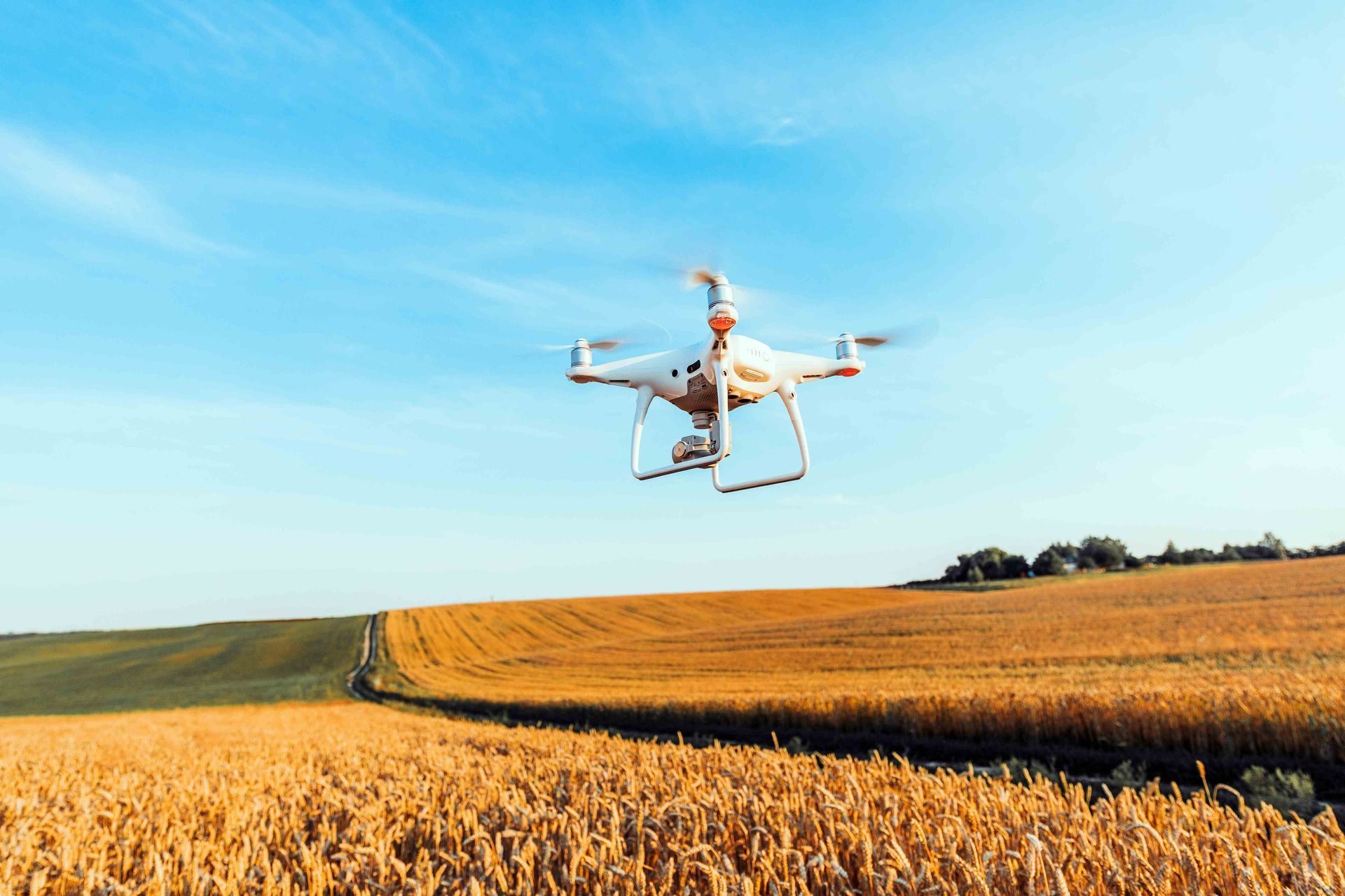 Drone photography over a field