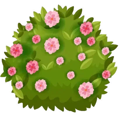 A bush with pink flowers and green leaves on a white background.