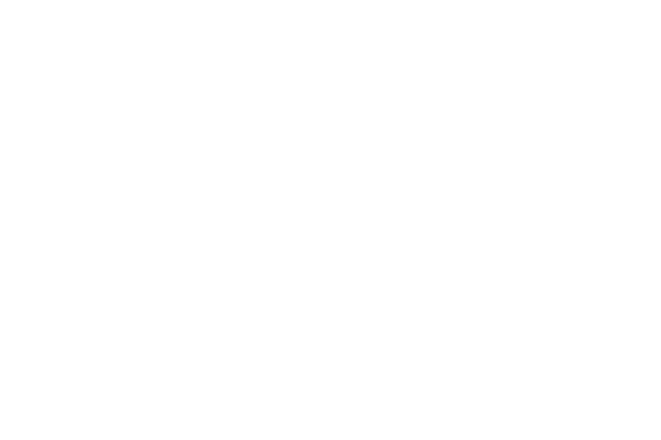 The white BKL logo.