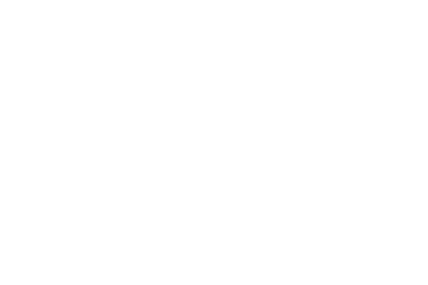 The white Ecoserv logo.