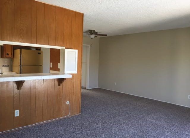 Carpeted living area with a boxed in kitchen with paneling on walls