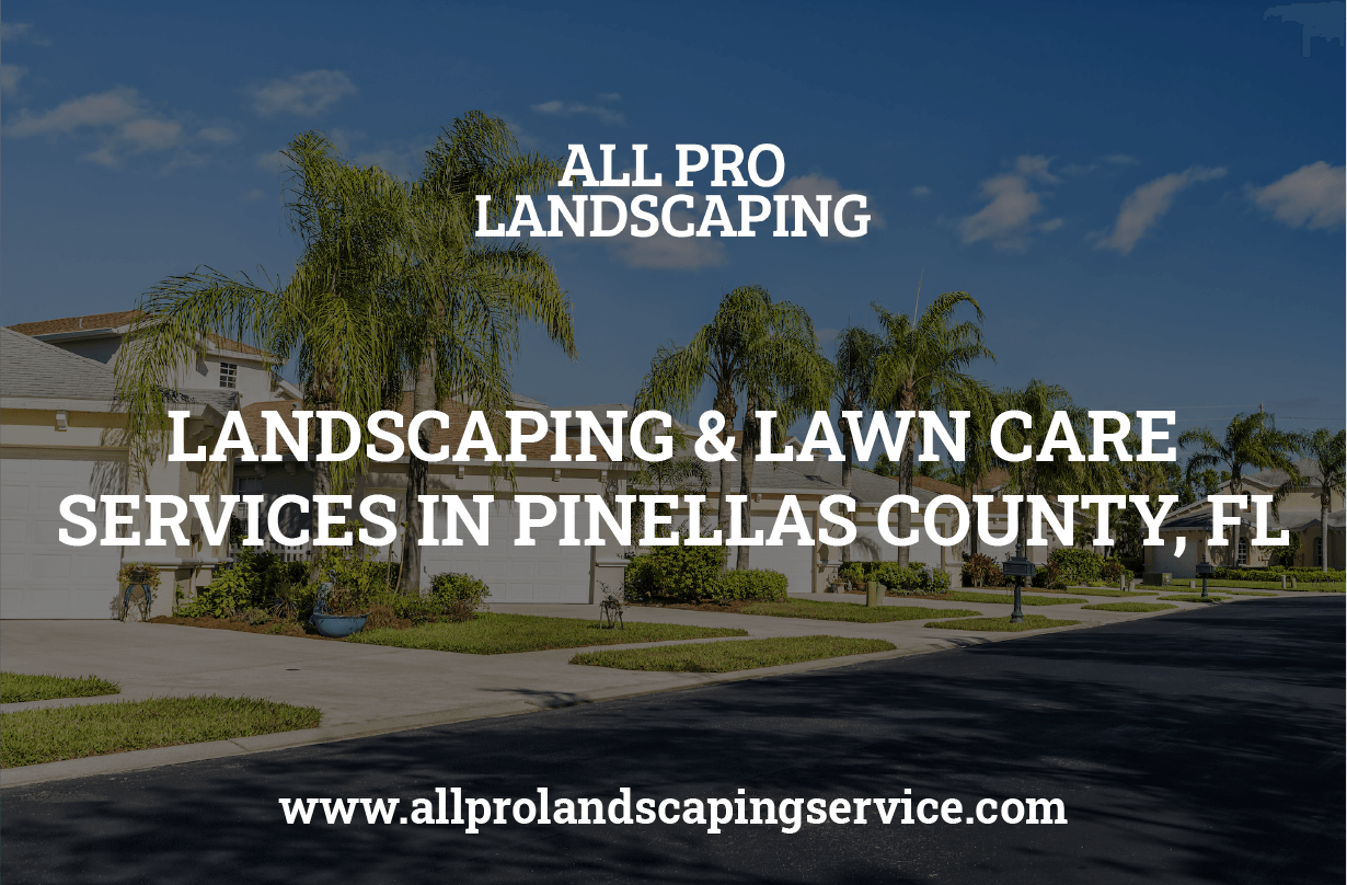 Pinellas County Lawn Care Yard Mowing, Landscaping Pinellas County