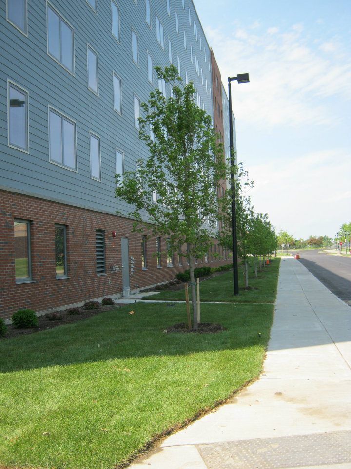 A sidewalk leading to a building with a lot of windows