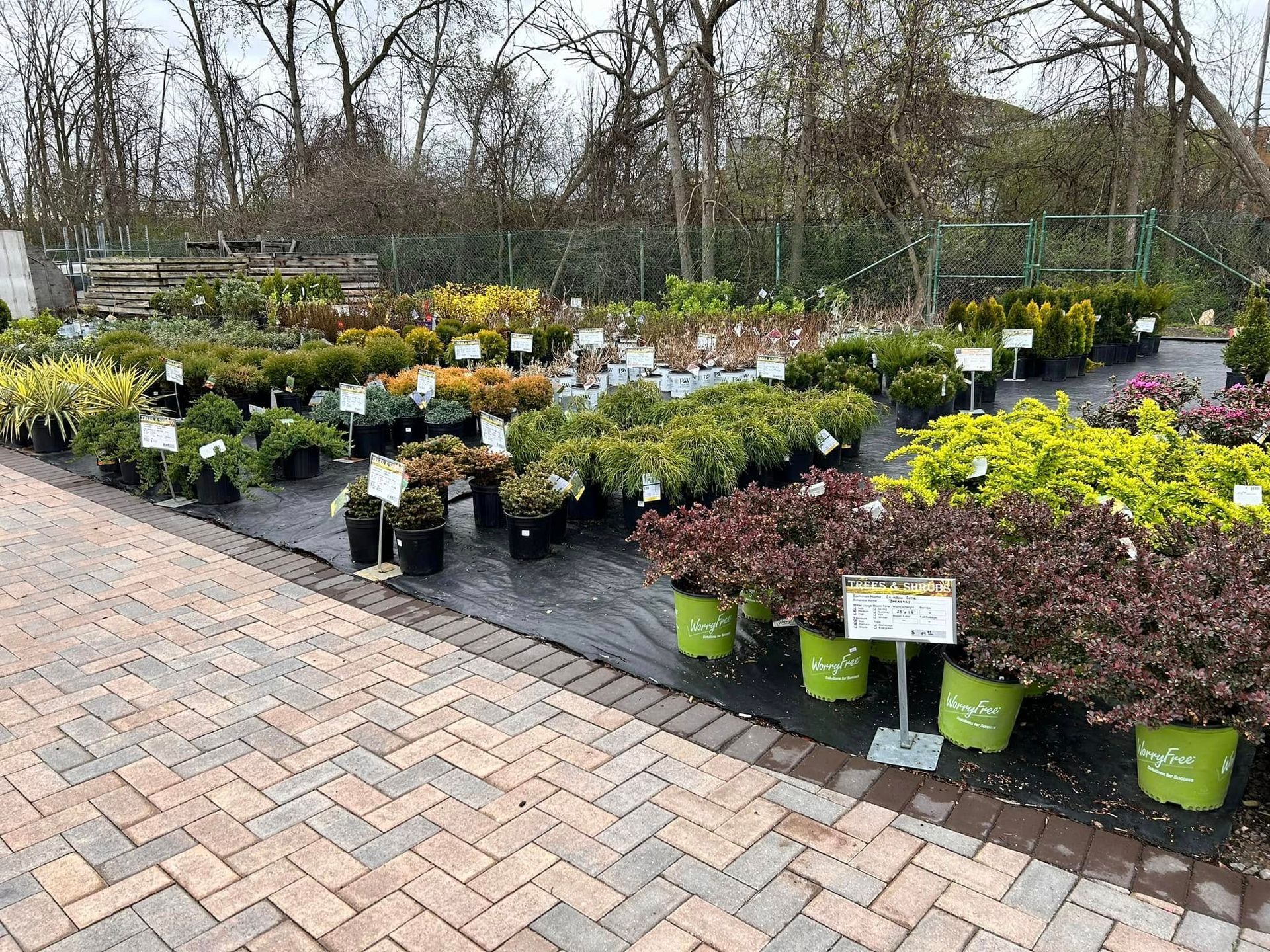 A bunch of potted plants are sitting on a brick sidewalk.