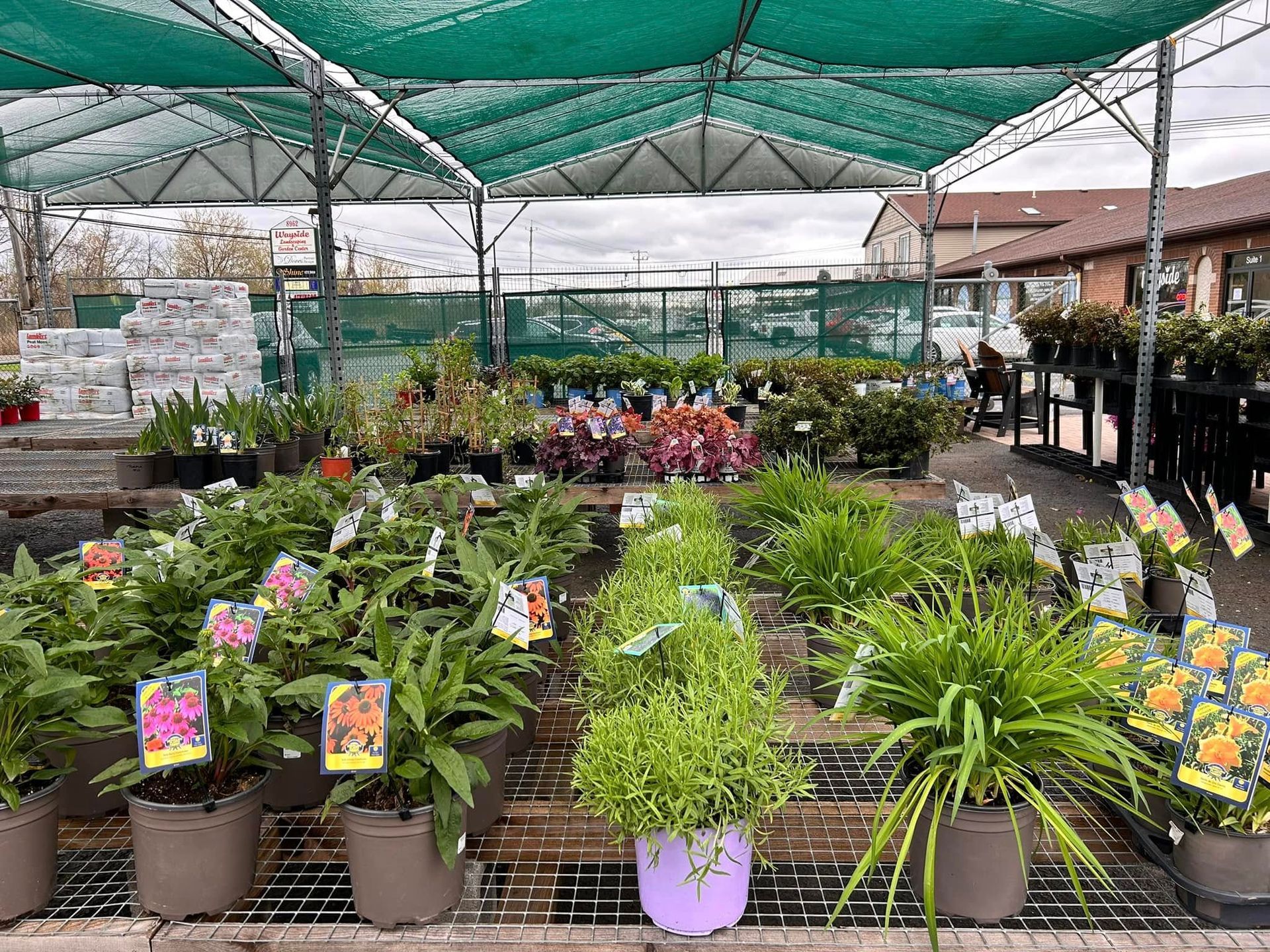 A garden center filled with lots of potted plants and flowers.