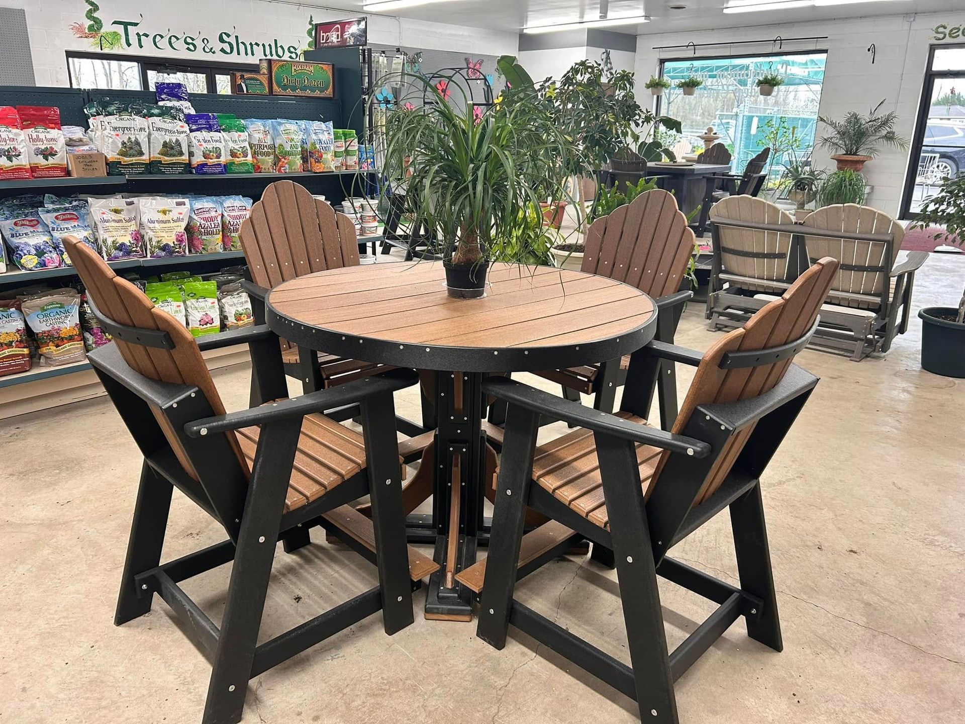 A table and chairs in a store with a plant in the middle.