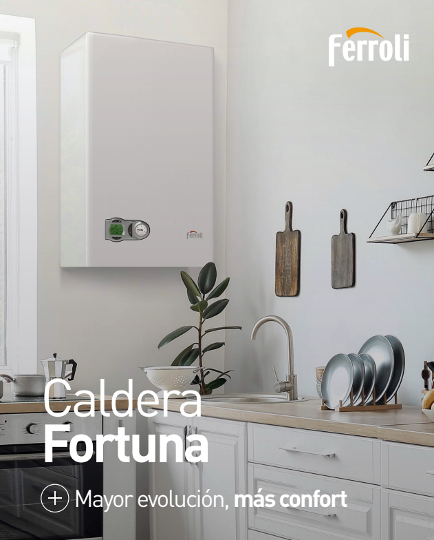 Ferroli Fortuna Dual F 40 kcal