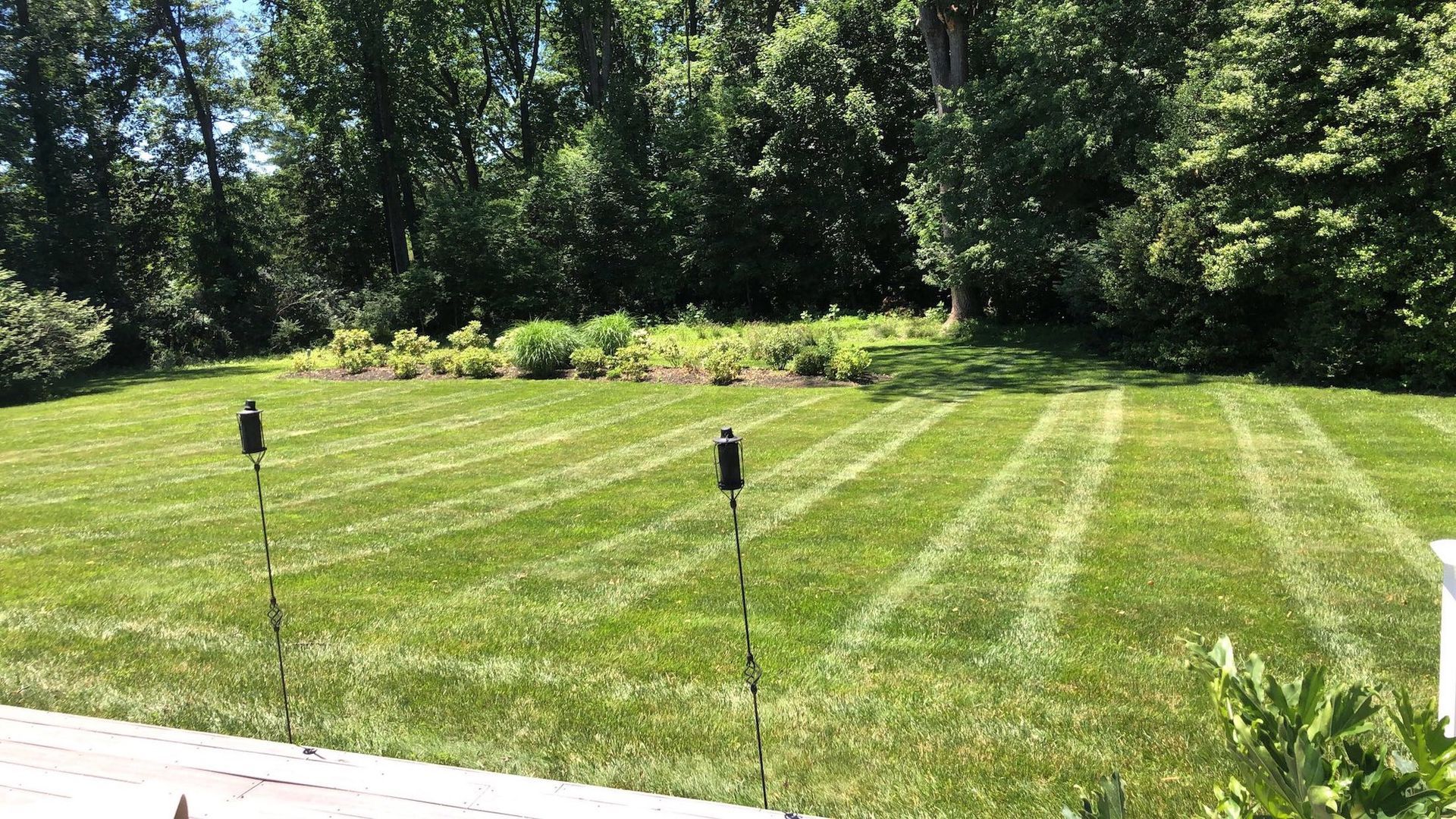 Freshly Mowed Lawn