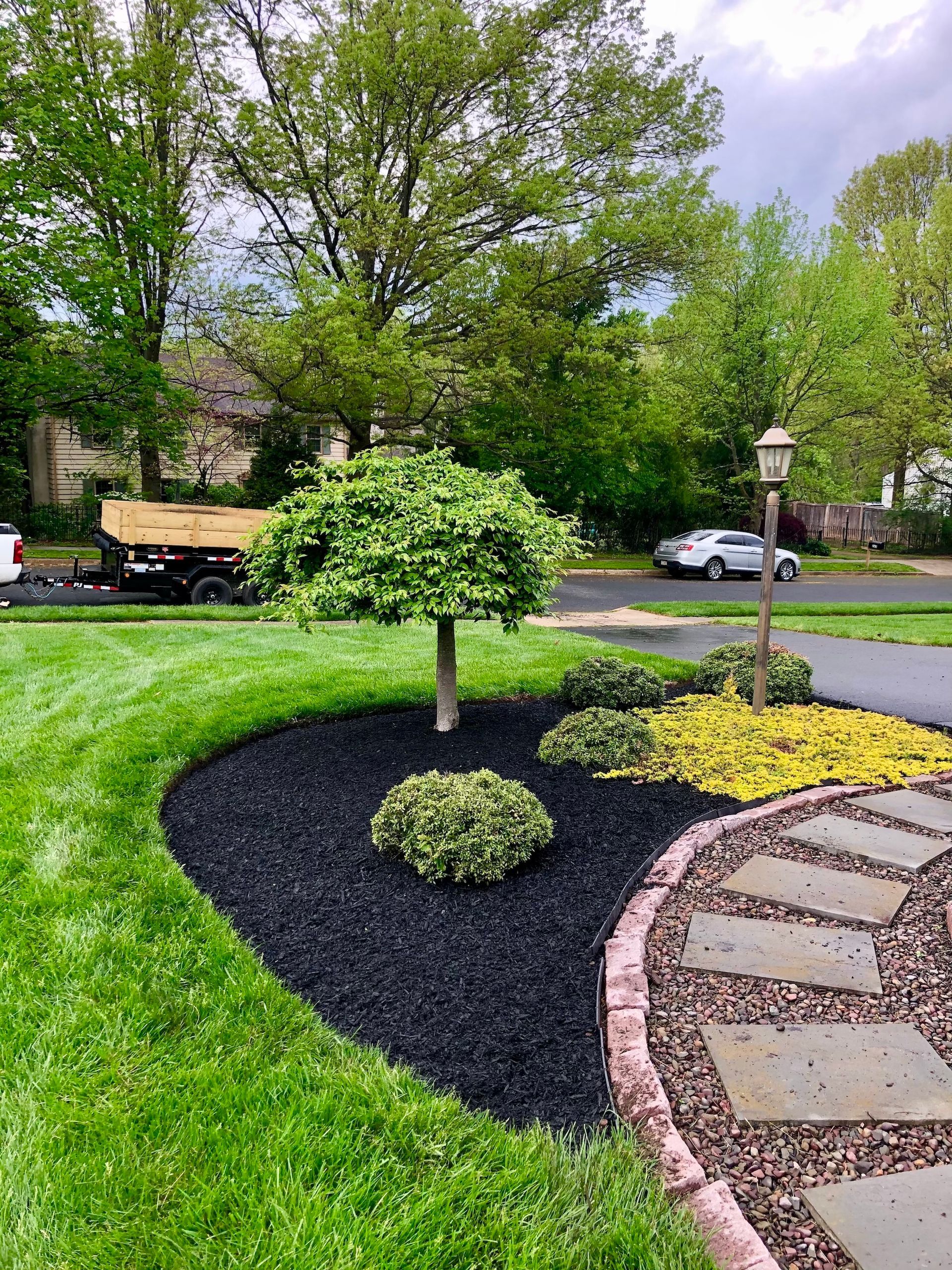 A lush green lawn with a small tree in the middle of it.