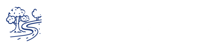 Creative Consulting Solutions Logo