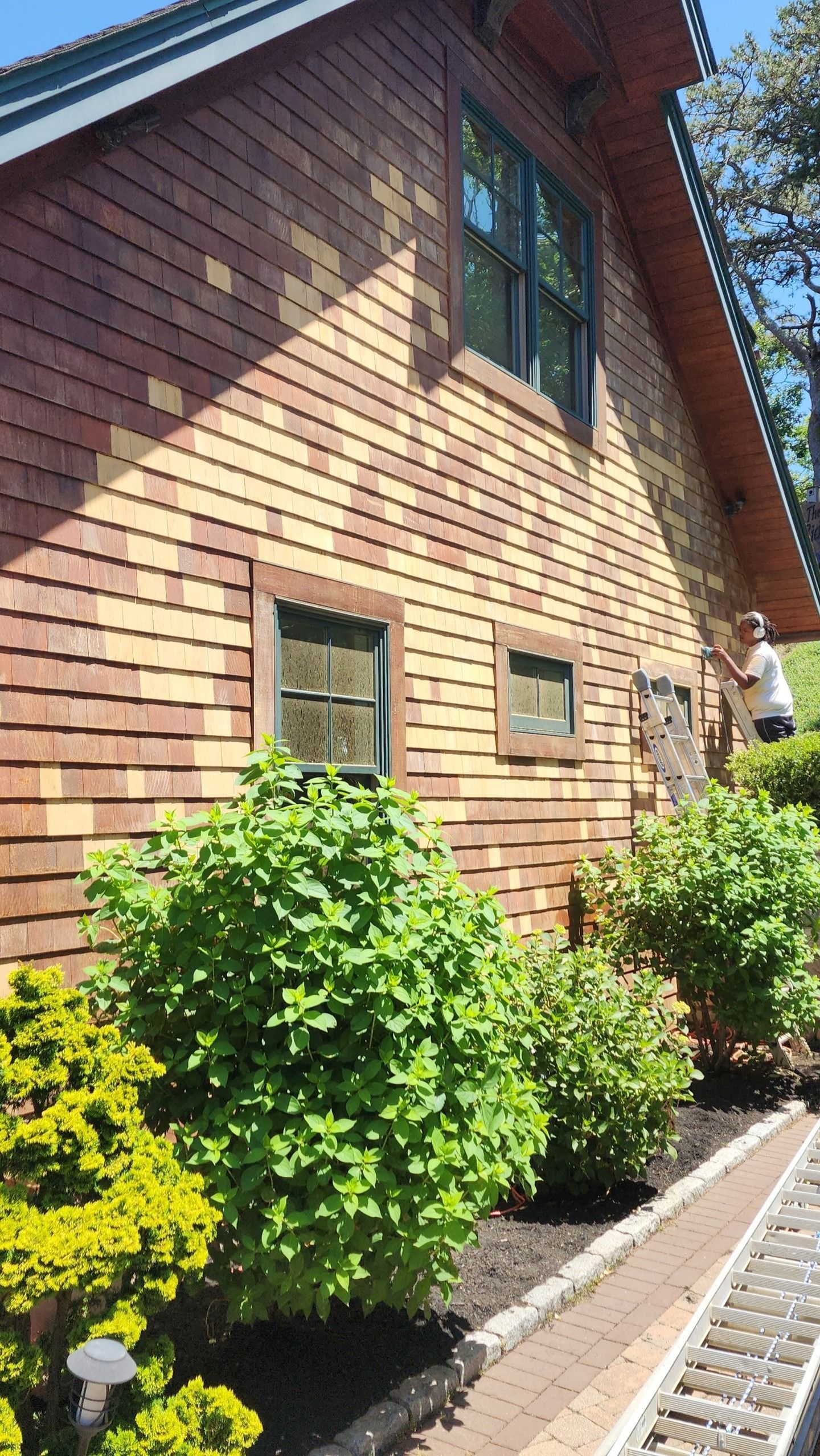 Wooden house exterior with green shrubs along a gravel path in sunlight