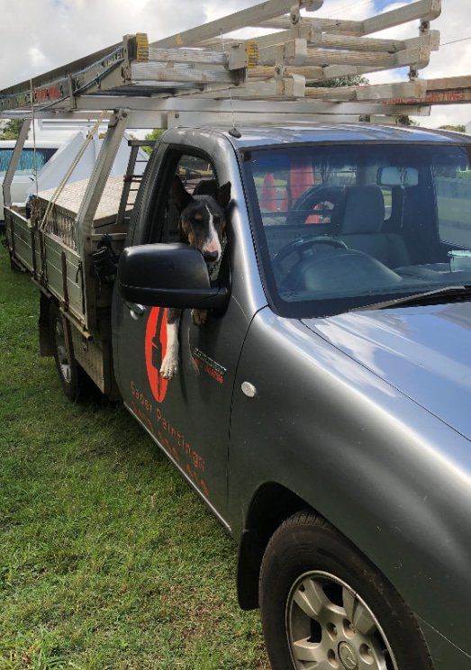 Sadar Painting Work Vehicle with Dog in Drivers Seat — Painters in Tablelands, QLD