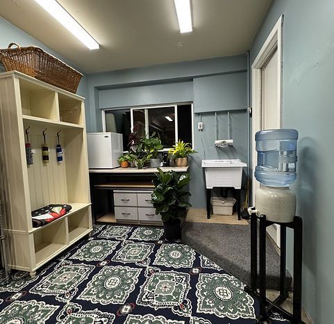 A laundry room with blue walls, a sink, and a water cooler. A white storage unit sits near a patterned rug.