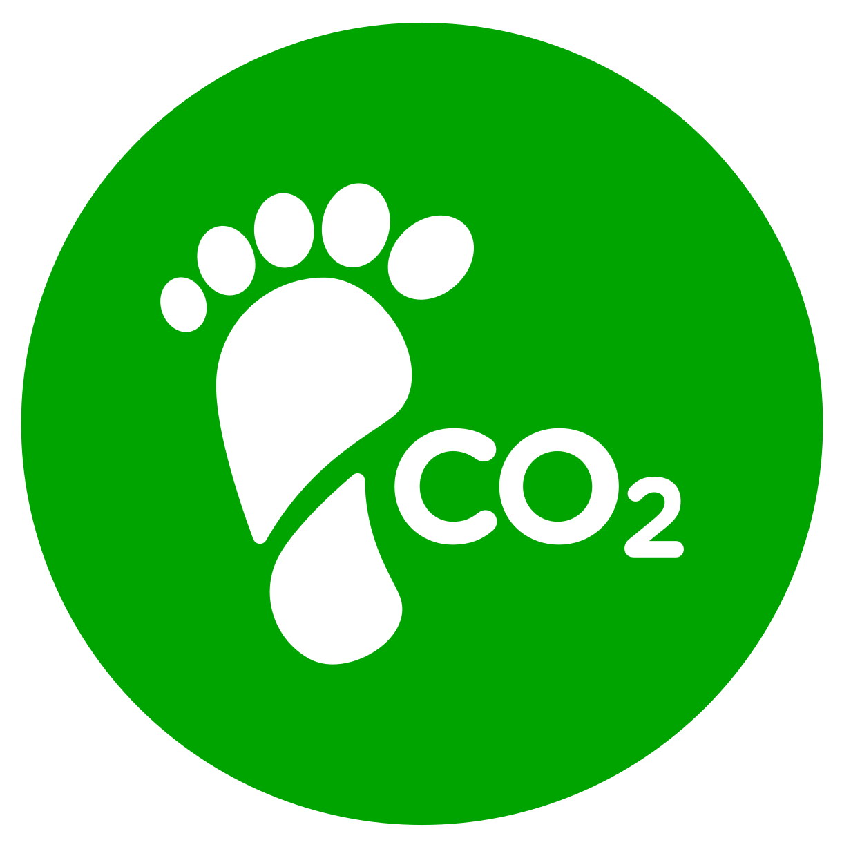 Un cercle vert avec une empreinte et du CO2 écrit dessus.
