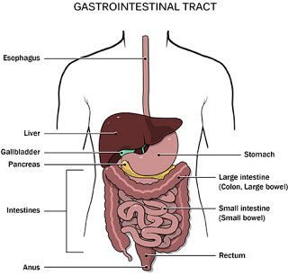 Kidney stone, urinary stone, ureteric stone, renal calculi, renal colic, nephrolithiasis