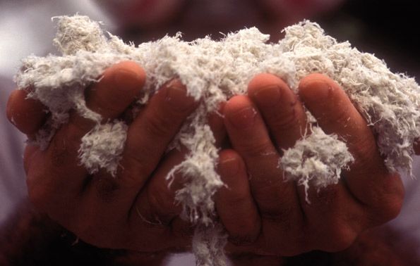 A closeup image of asbestos resting in someone's hands