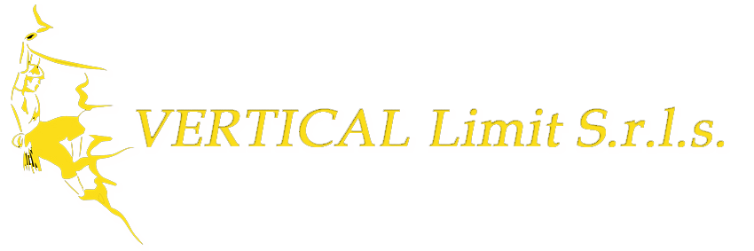 VERTICAL LIMIT Logo