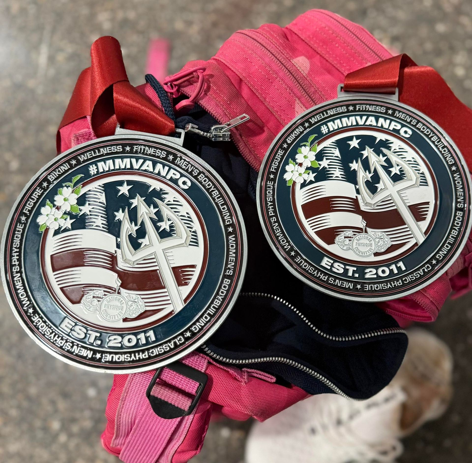 Two round medals with red ribbons, set against pink and navy items. Medals have blue and red designs and the text 