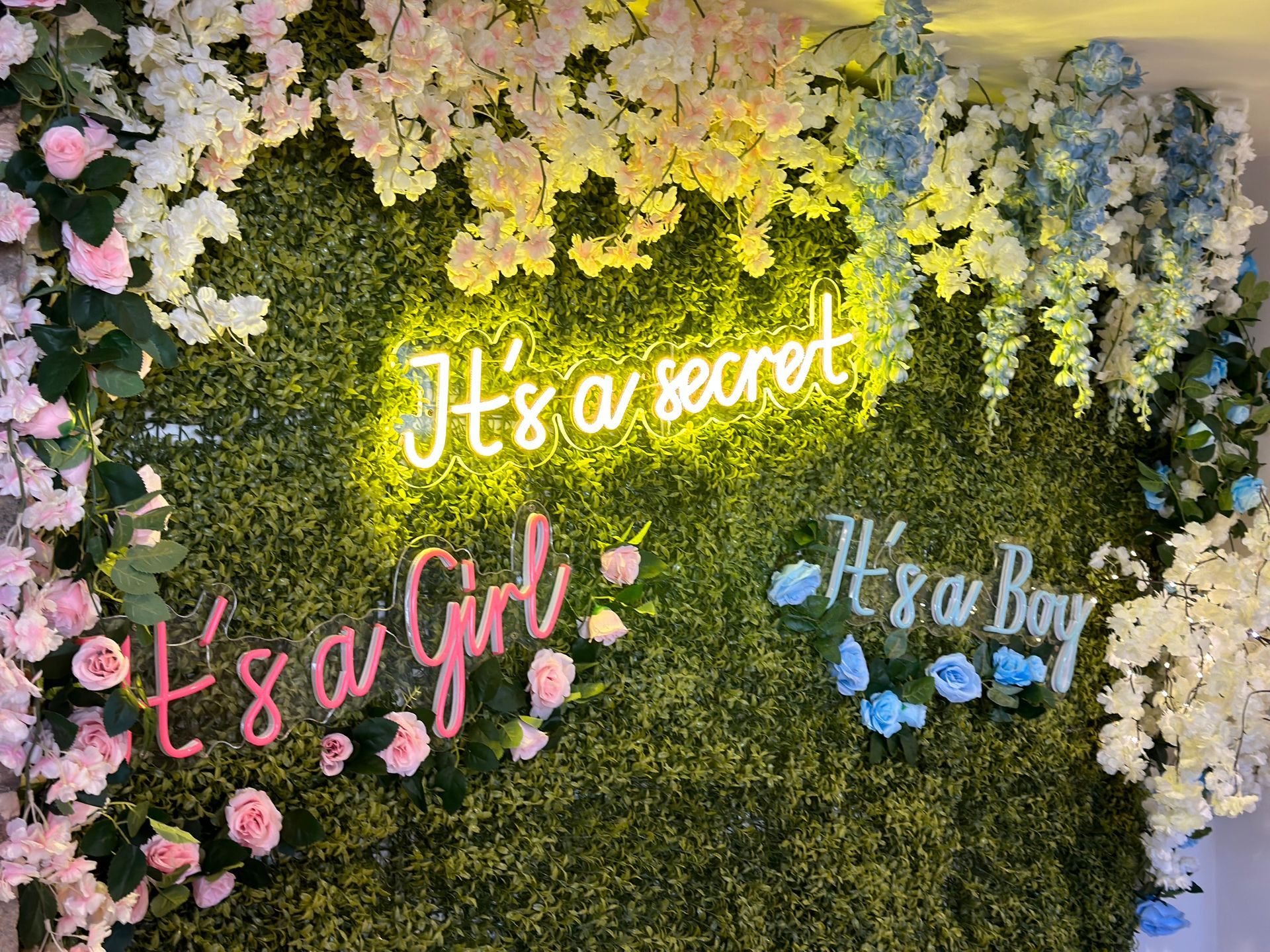 A wall with flowers and neon signs that say it 's a girl and it 's a boy.