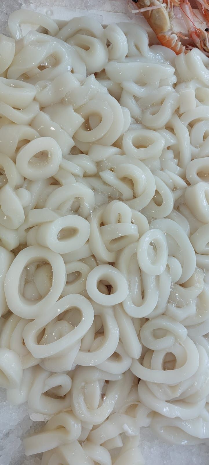 Pescheria Illi