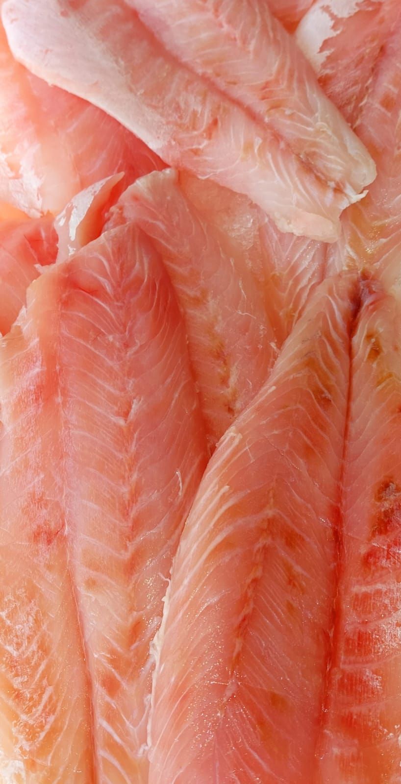 Pescheria Illi