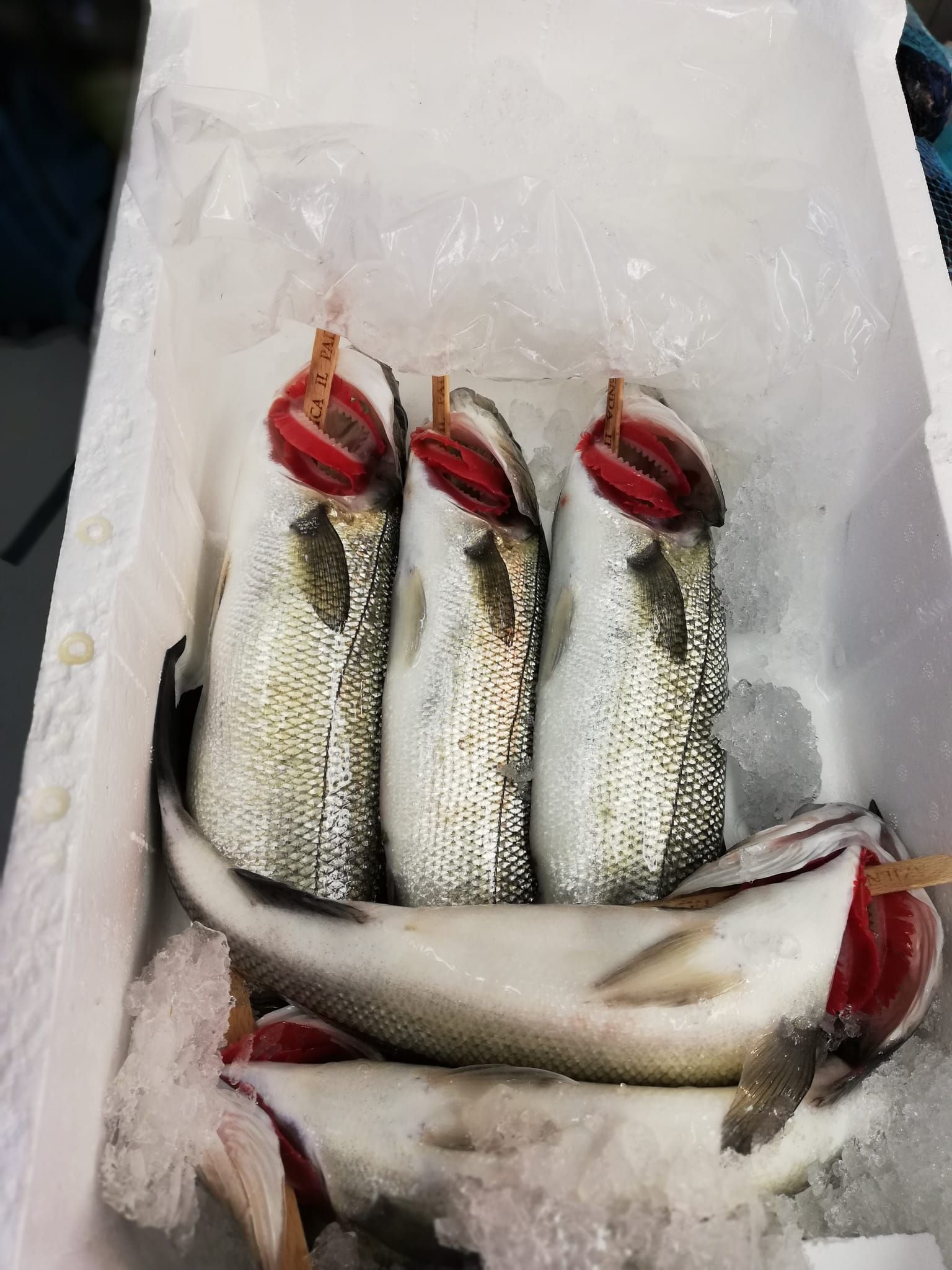pescheria Illi nelle province di Treviso e Belluno