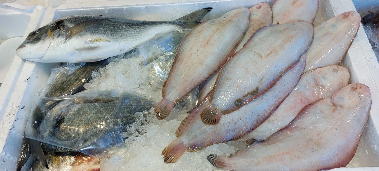 pescheria Illi nelle province di Treviso e Belluno