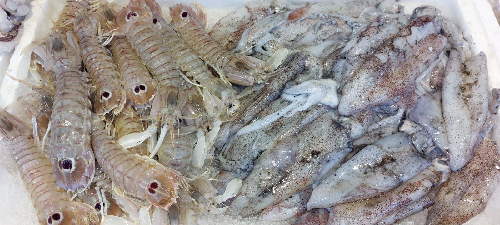 pescheria Illi nelle province di Treviso e Belluno
