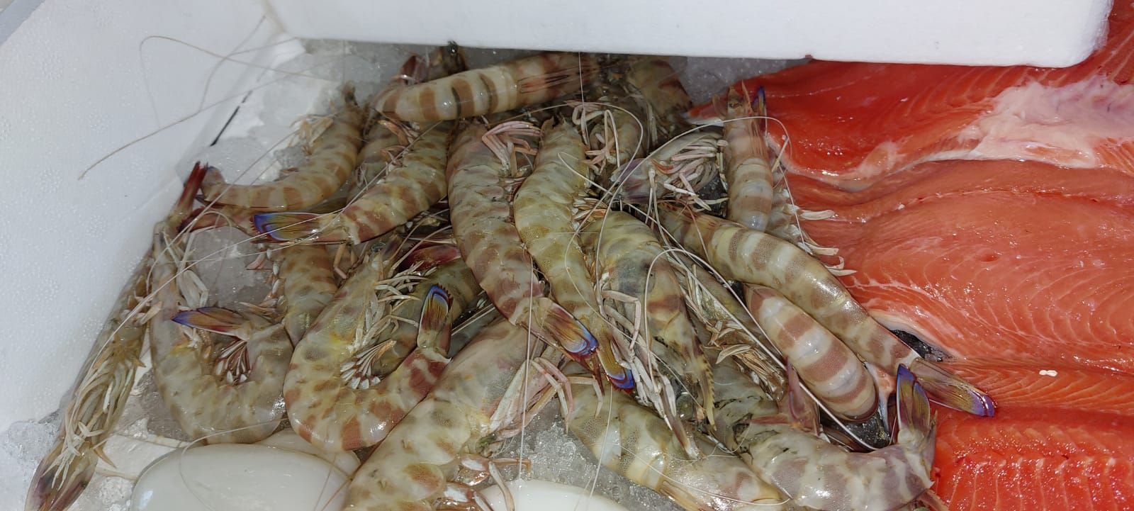 pescheria Illi nelle province di Treviso e Belluno