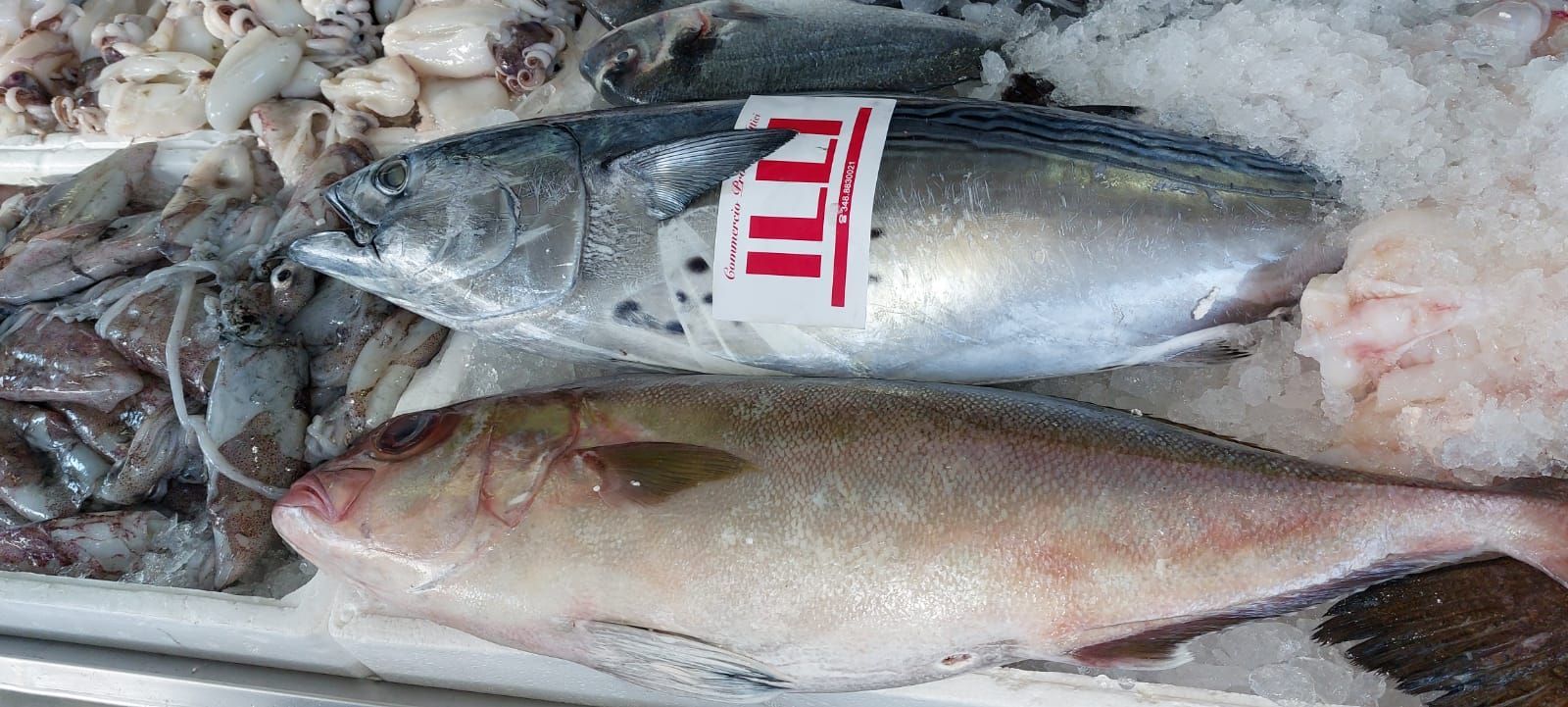 pescheria Illi nelle province di Treviso e Belluno