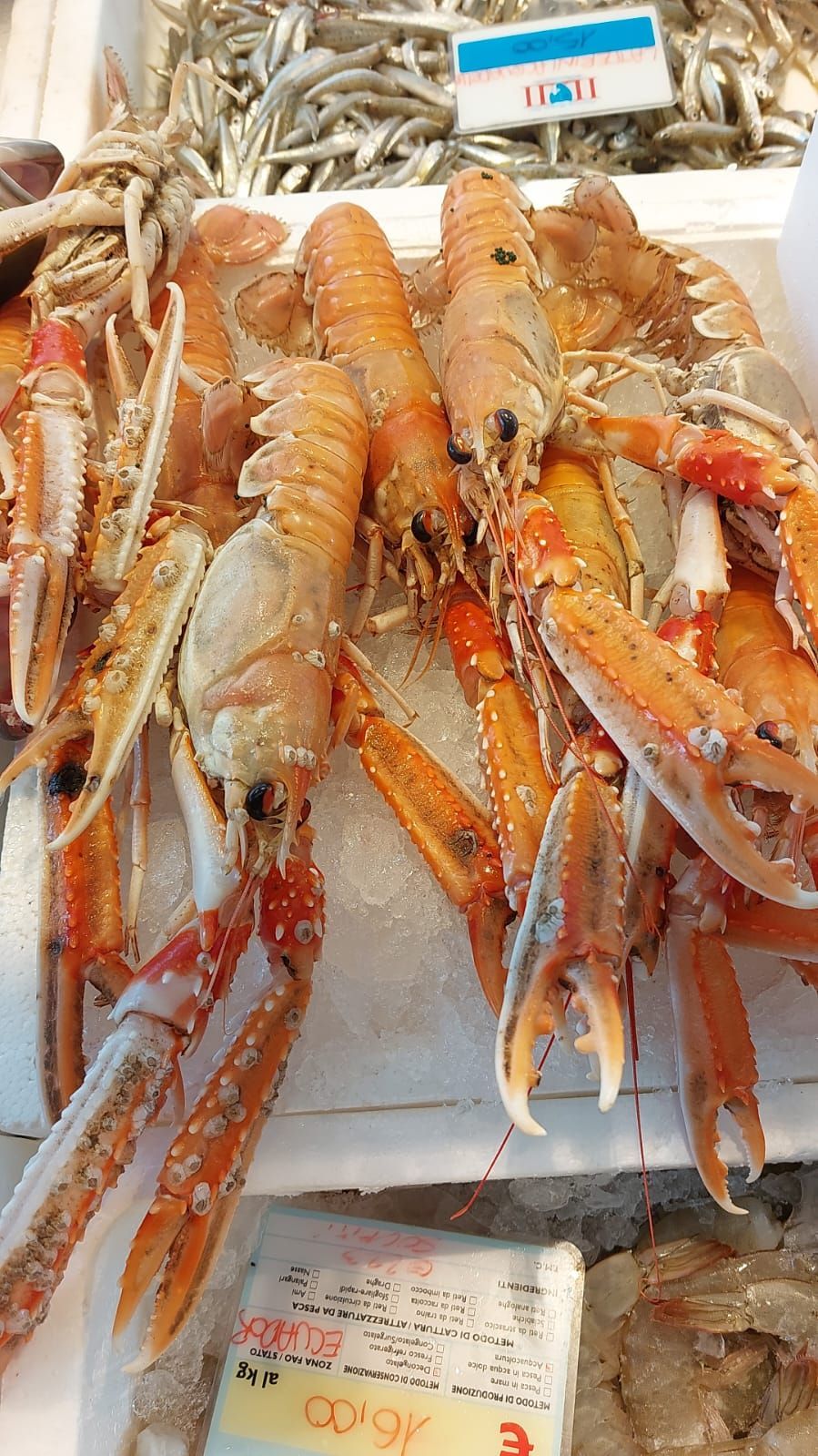 pescheria Illi nelle province di Treviso e Belluno