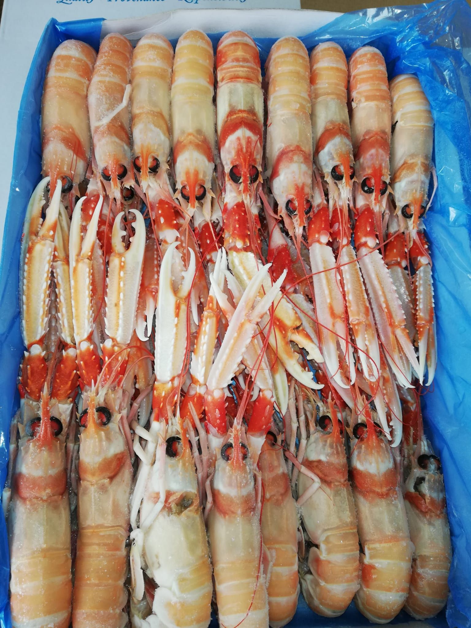 pescheria Illi nelle province di Treviso e Belluno