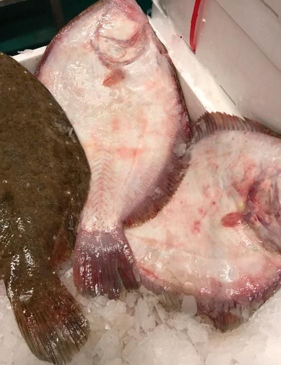 pescheria Illi nelle province di Treviso e Belluno