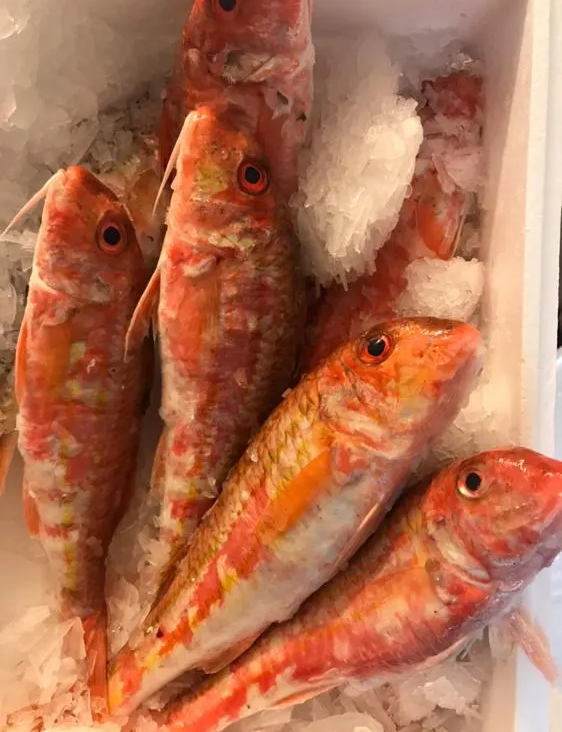 pescheria Illi nelle province di Treviso e Belluno