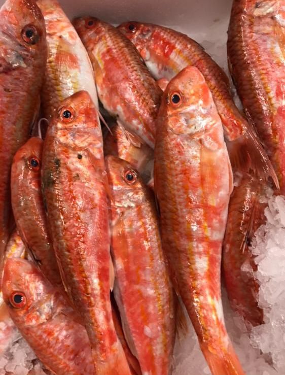 pescheria Illi nelle province di Treviso e Belluno