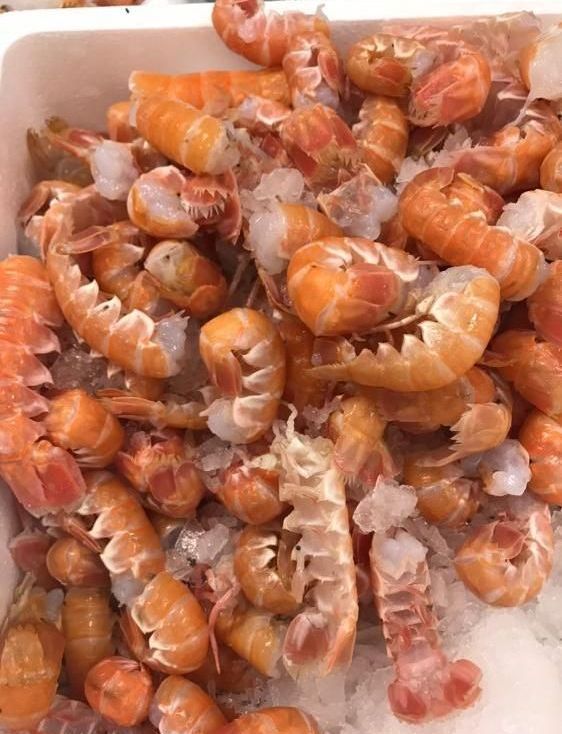 pescheria Illi nelle province di Treviso e Belluno