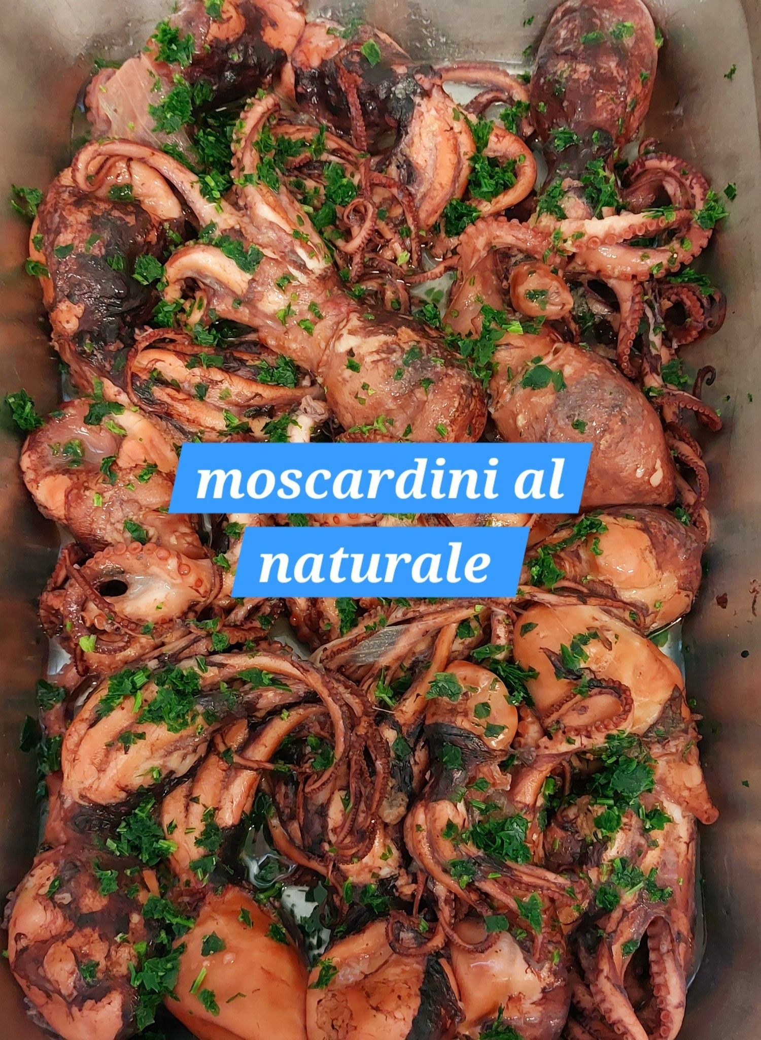 moscardini al naturale