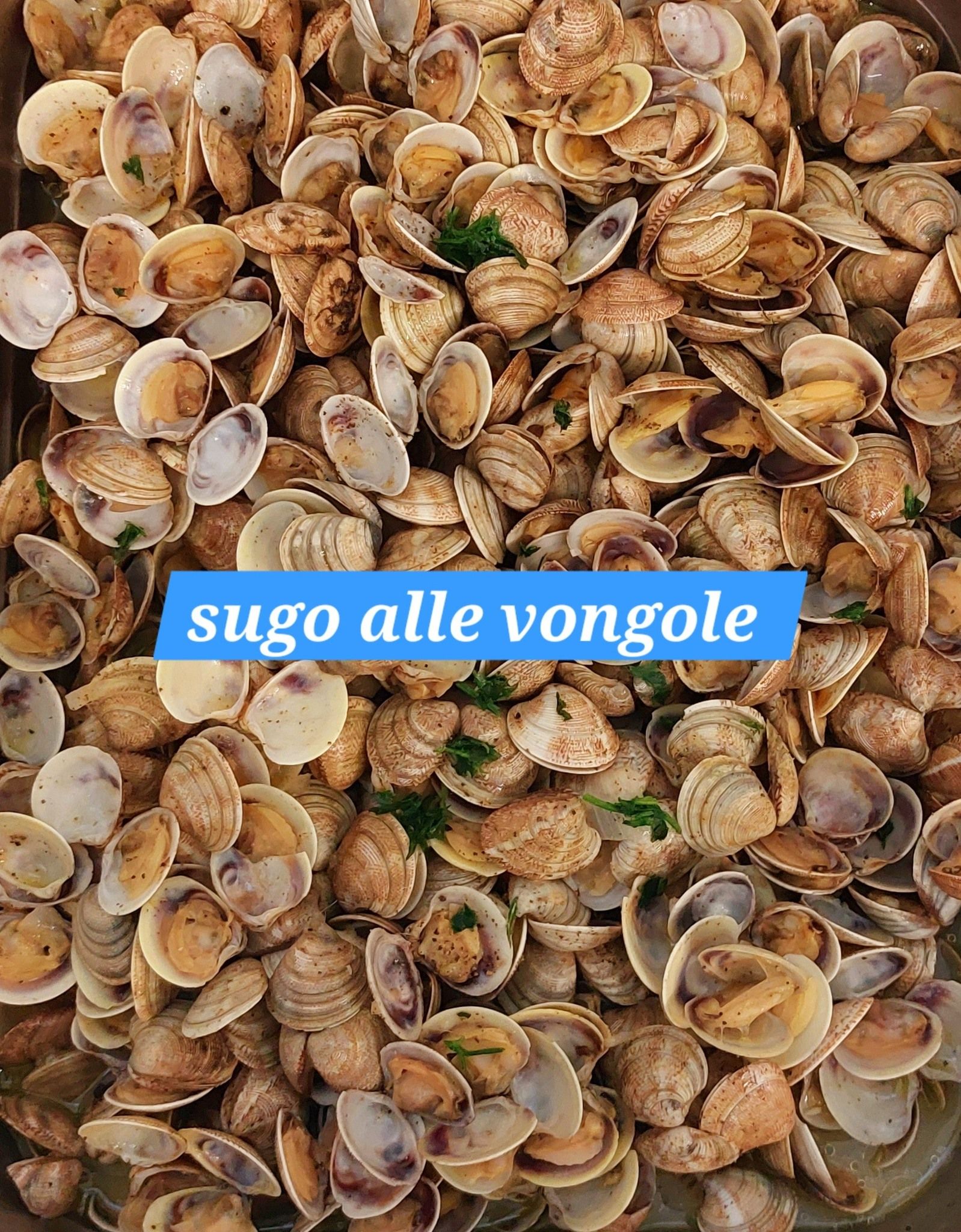 sugo alle vongole