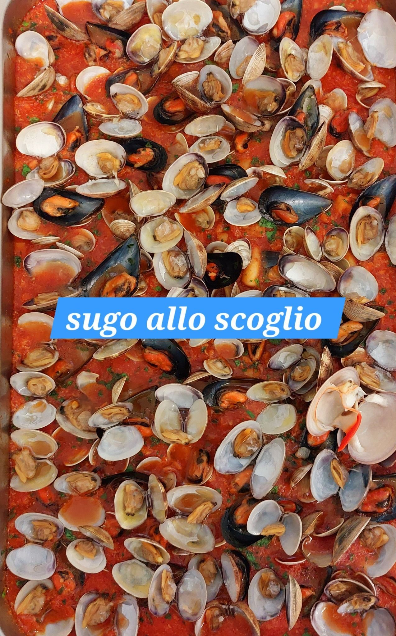 sugo allo scoglio