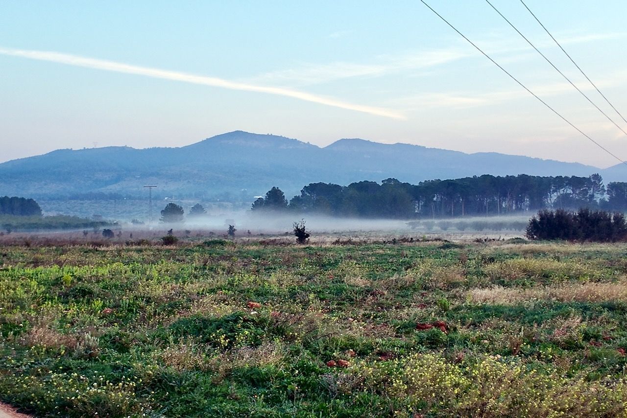 Een veld met ochtendmist en een bergketen onder een lichtblauwe hemel.
