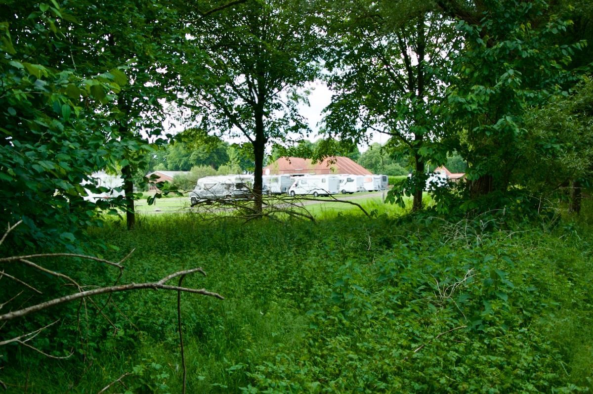 Vanaf een wandelpad Midden in een veld is een huis te zien door de bomen.