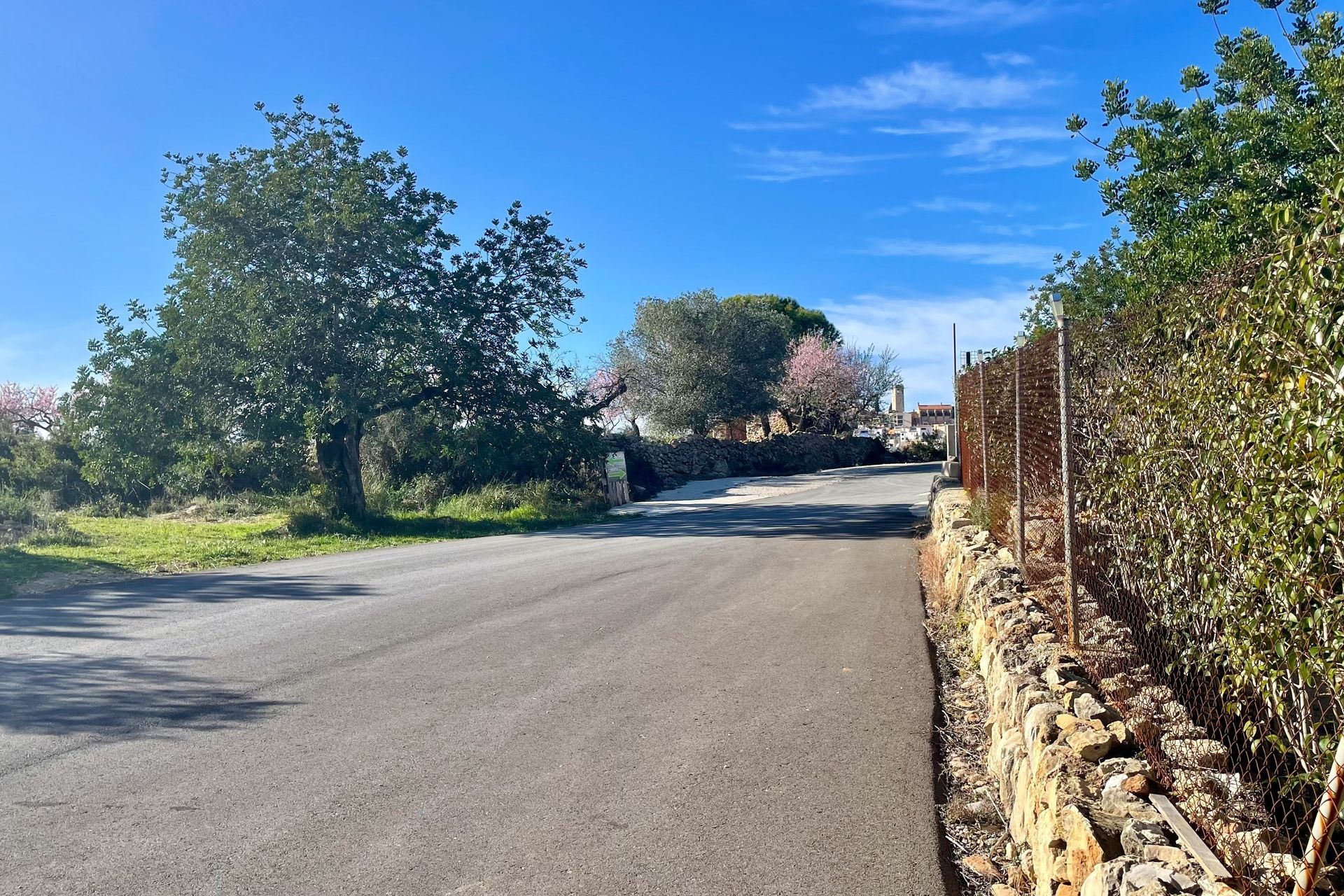 Een geplaveide weg die in een bocht omhoog loopt, geflankeerd door stenen muren, bomen en groen onder een blauwe hemel.